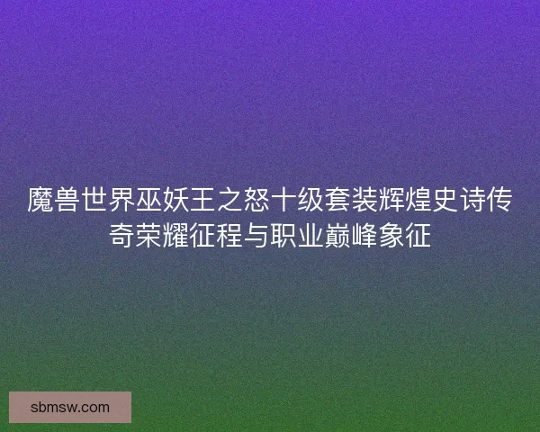 魔兽世界巫妖王之怒十级套装辉煌史诗传奇荣耀征程与职业巅峰象征